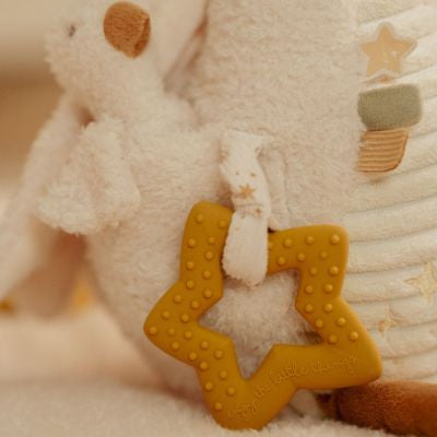 Peluche d'activités Oie Newborn